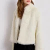 Women's Winter Thick Warm Faux Fur Coat Fashionable Luxury Evening Party Woman Jacket New Arrival Female Clothes
